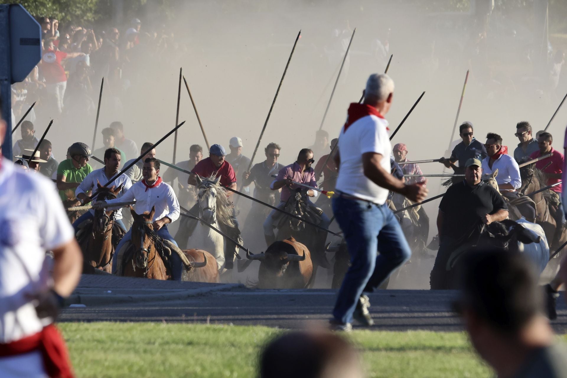 El encierro de campo de Tordesillas en imágenes