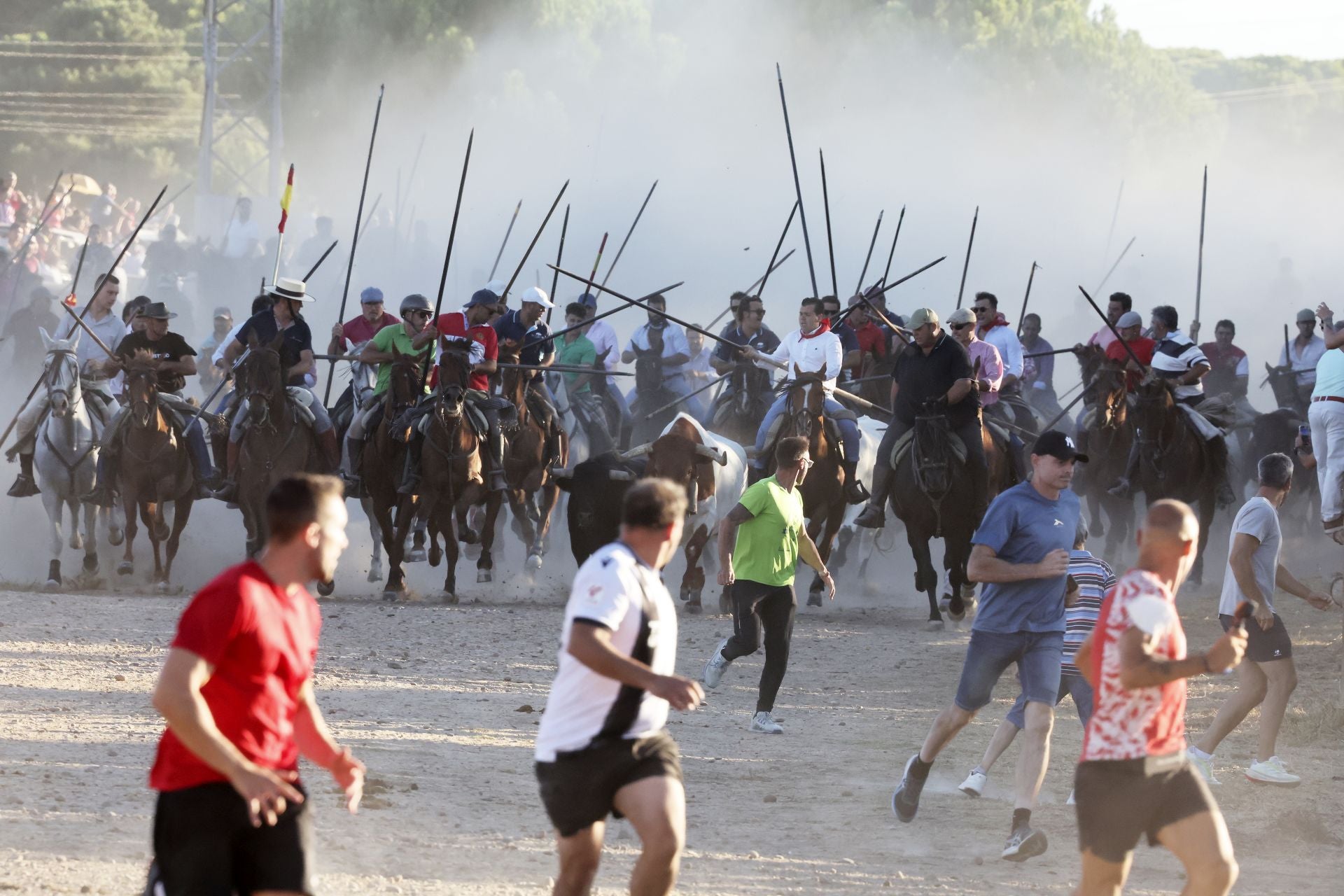 El encierro de campo de Tordesillas en imágenes