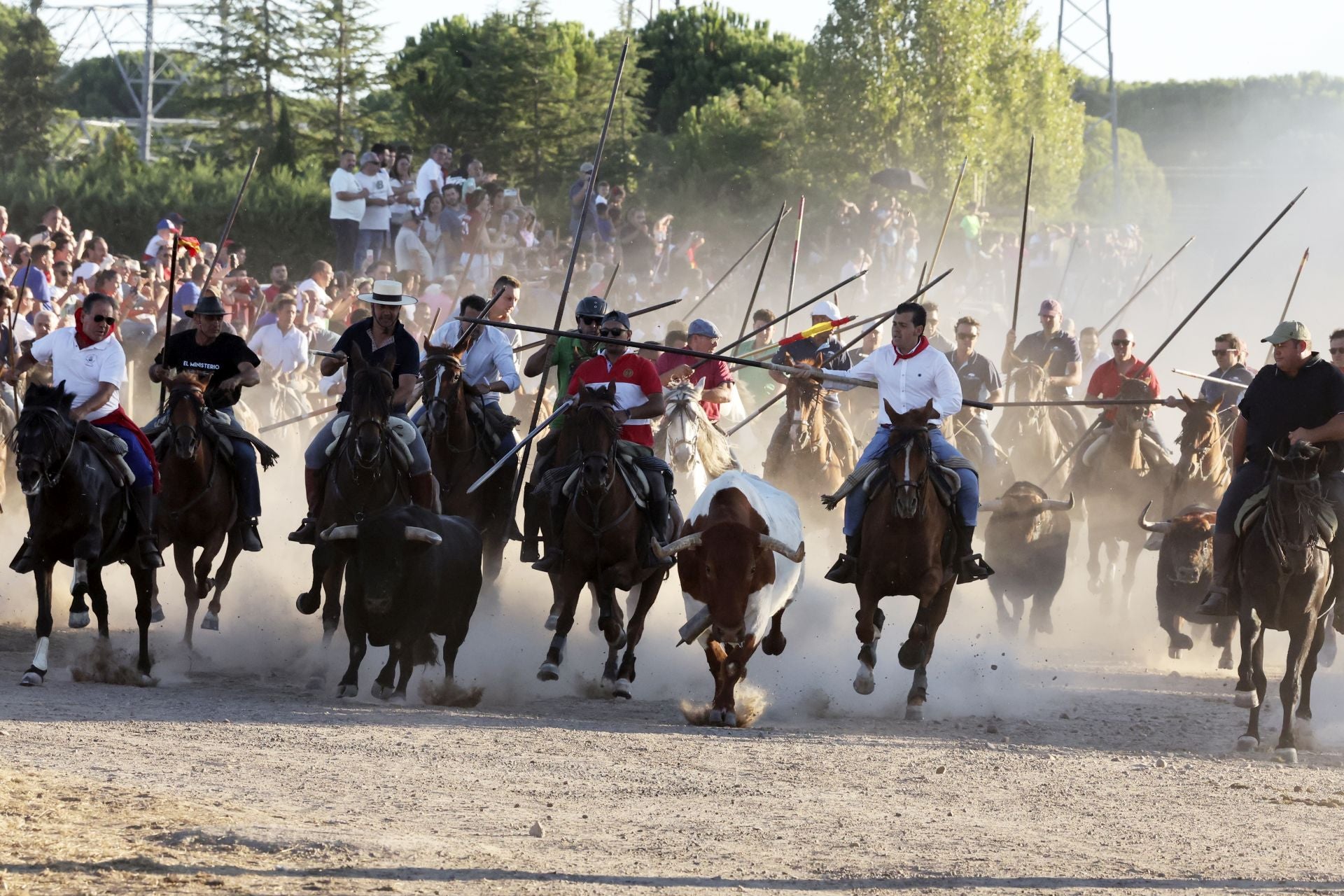 El encierro de campo de Tordesillas en imágenes