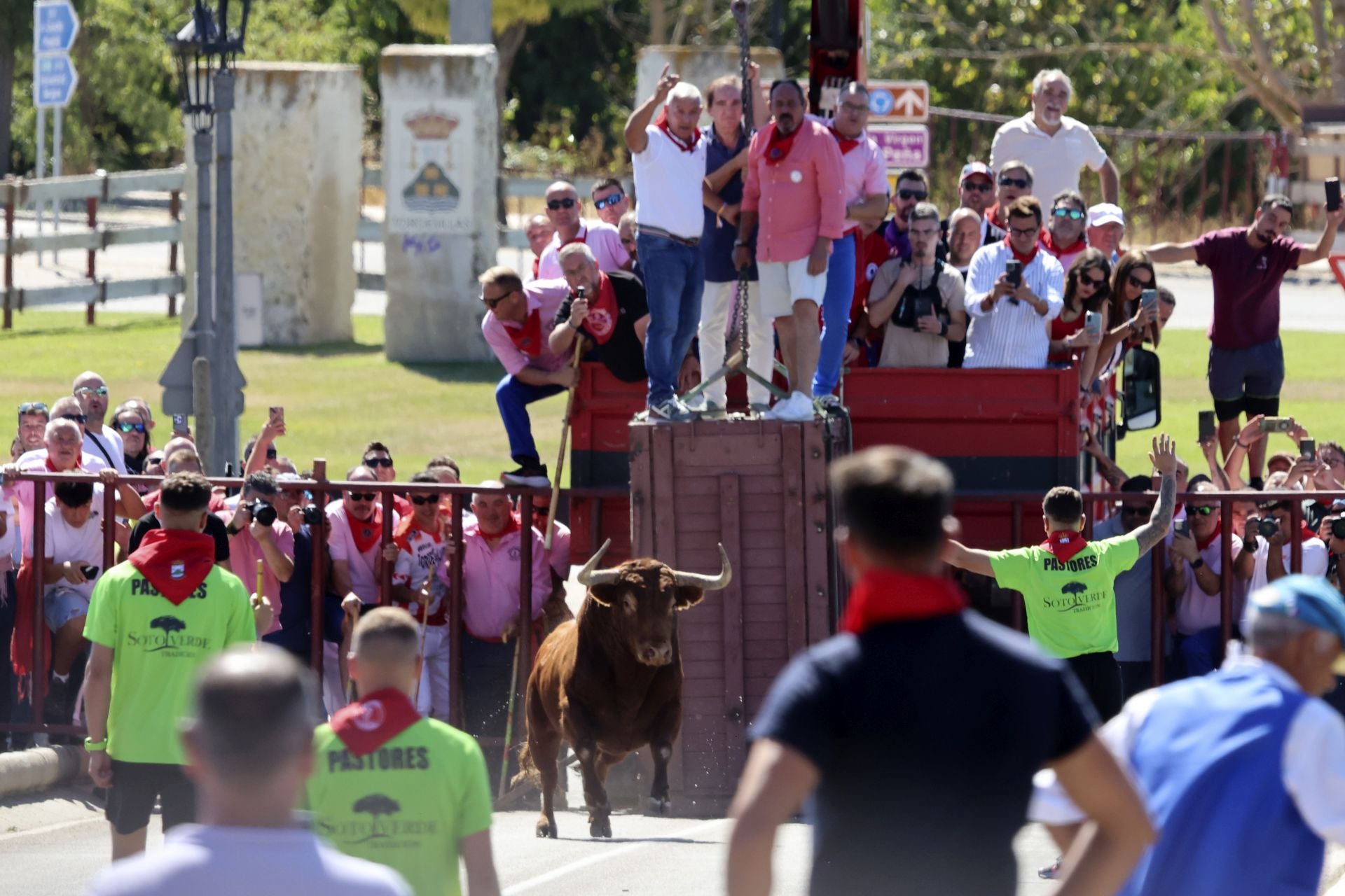 Las imponentes imágenes del toro de cajón en Tordesillas