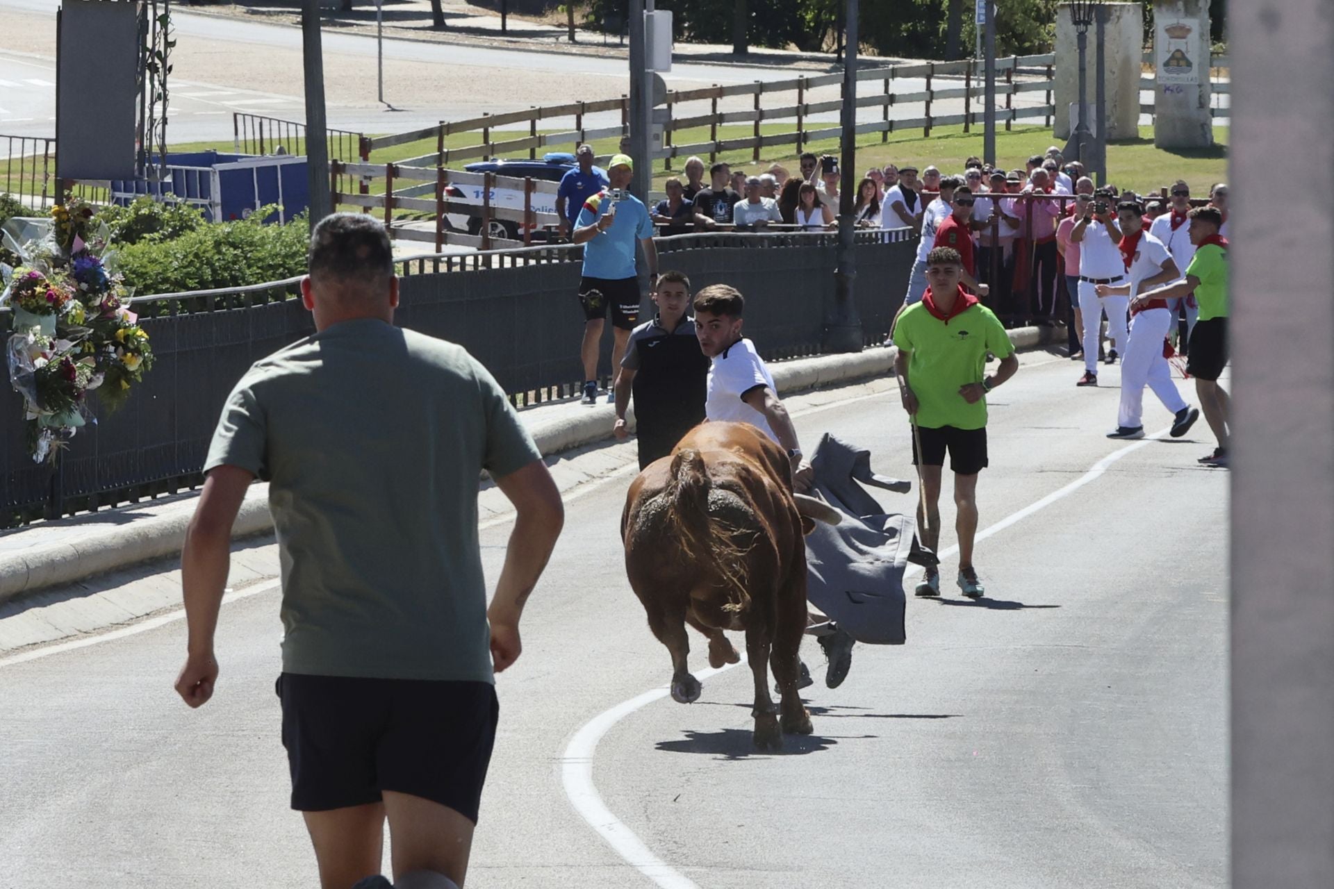 Las imponentes imágenes del toro de cajón en Tordesillas