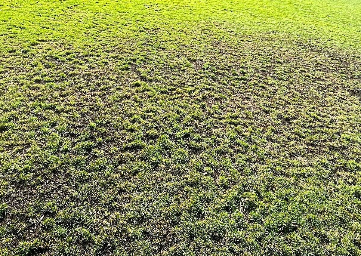 Imagen secundaria 1 - El CD Laguna arranca la temporada… sin campo