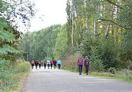 Imagen de una pasada edición de la marcha.