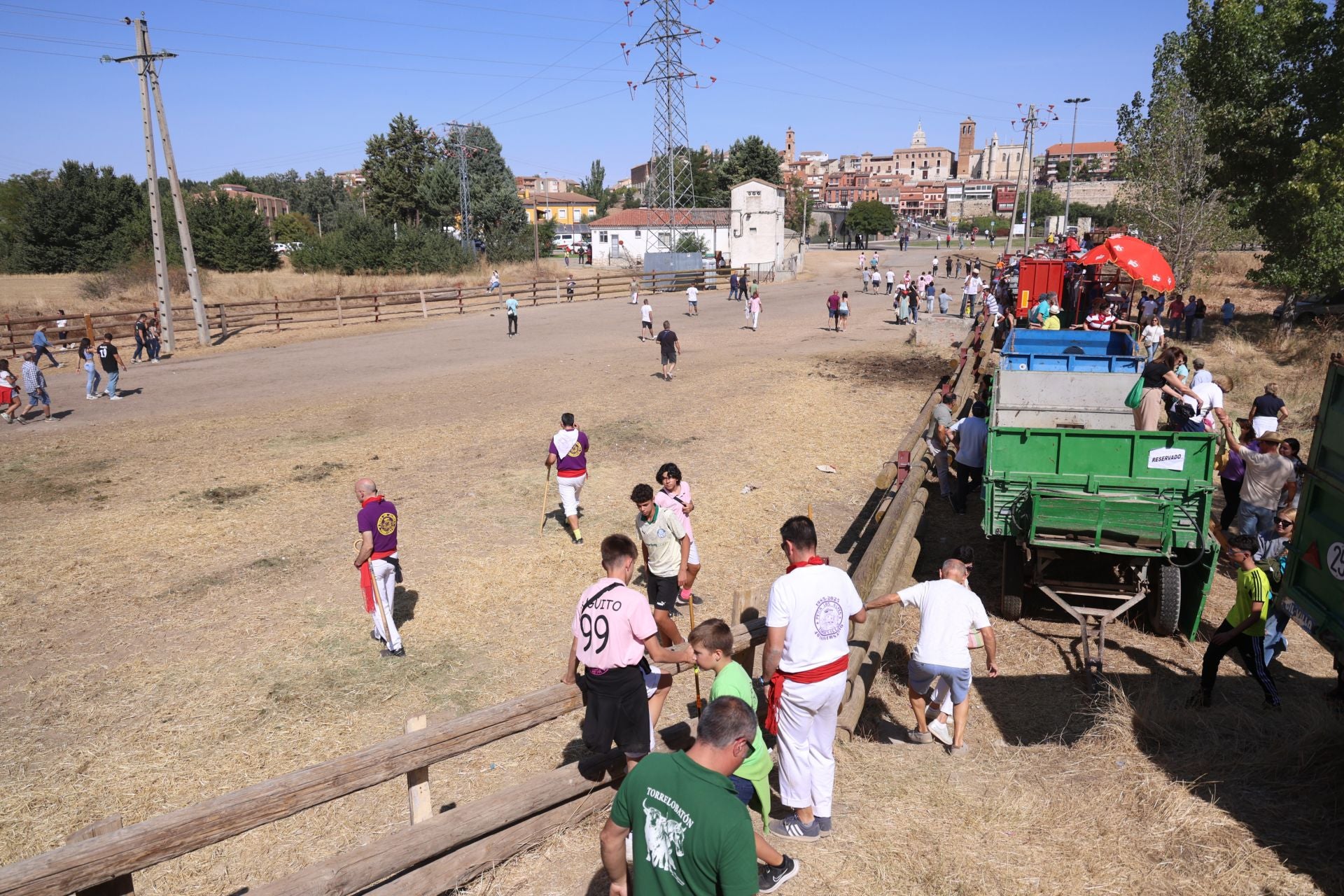 Las imágenes del Toro de la Vega