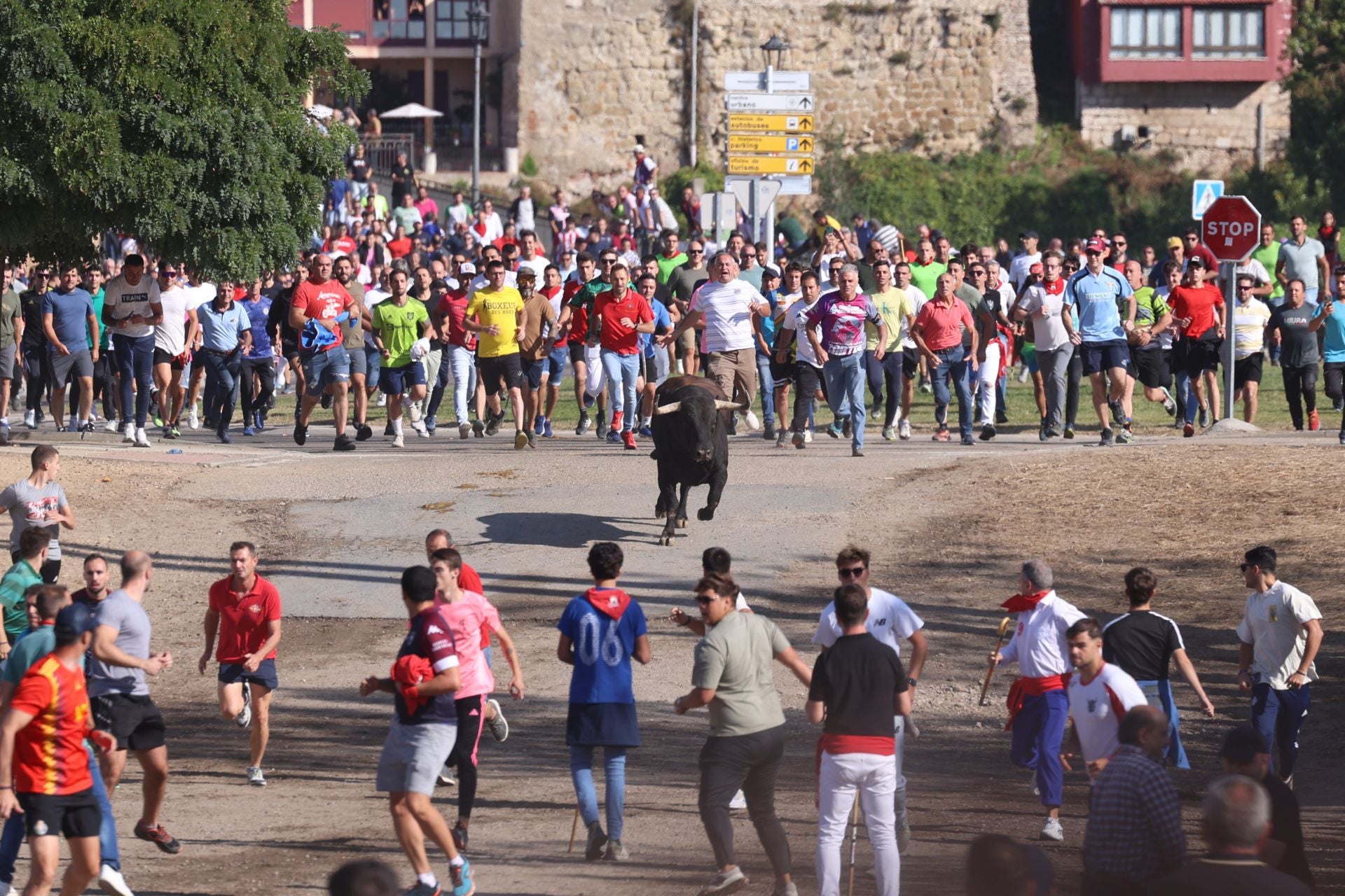 Las imágenes del Toro de la Vega