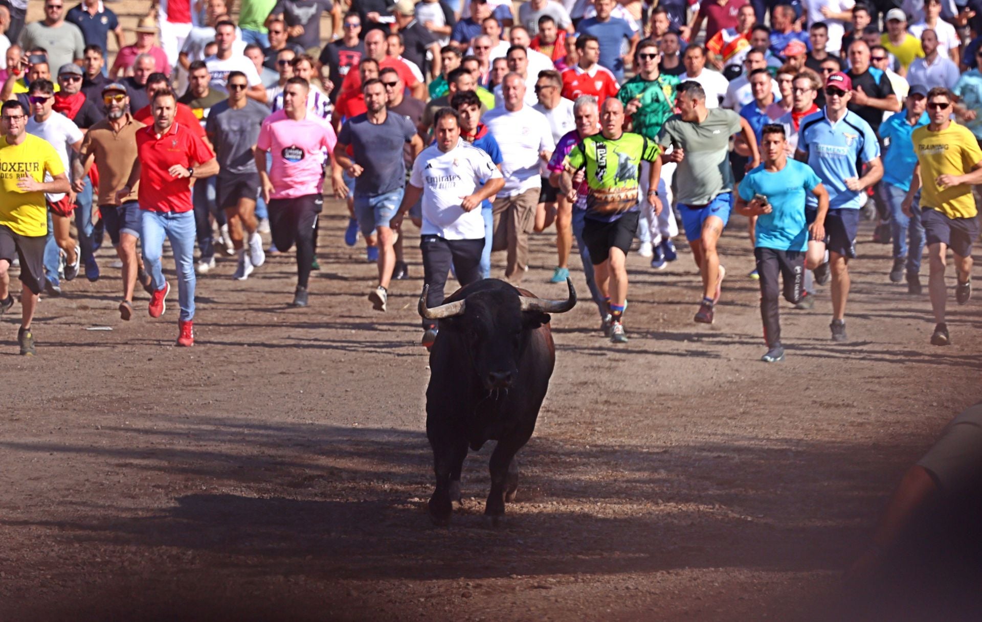 Las imágenes del Toro de la Vega