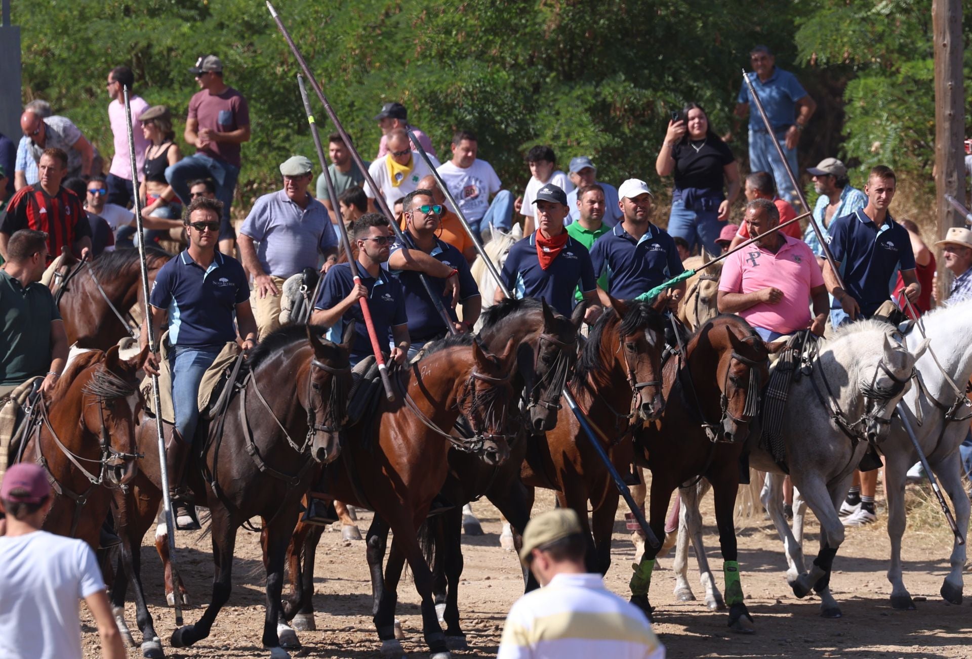 Las imágenes del Toro de la Vega