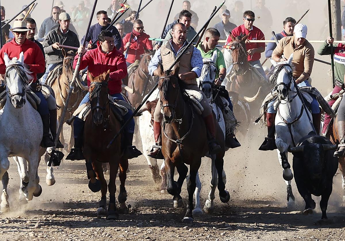 El encierro mixto de Tordesillas, en imágenes