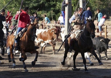 Los toros de Núñez del Cuvillo muestran su raza en el encierro de Tordesillas