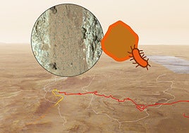 Selfie del rover Perseverance en Marte y, en detalle, José Antonio Manrique, Doctor en Física en la UVA, miembro del equipo Mars2020.