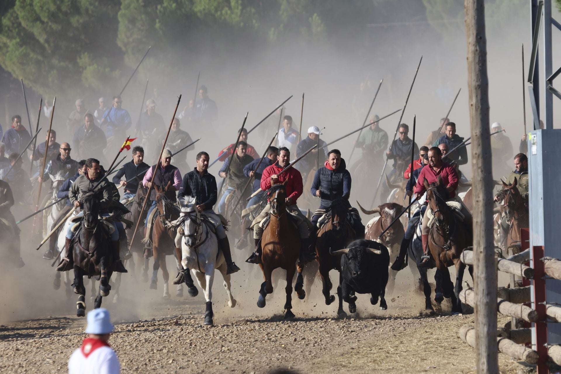 Encierro mixto del jueves en Tordesillas