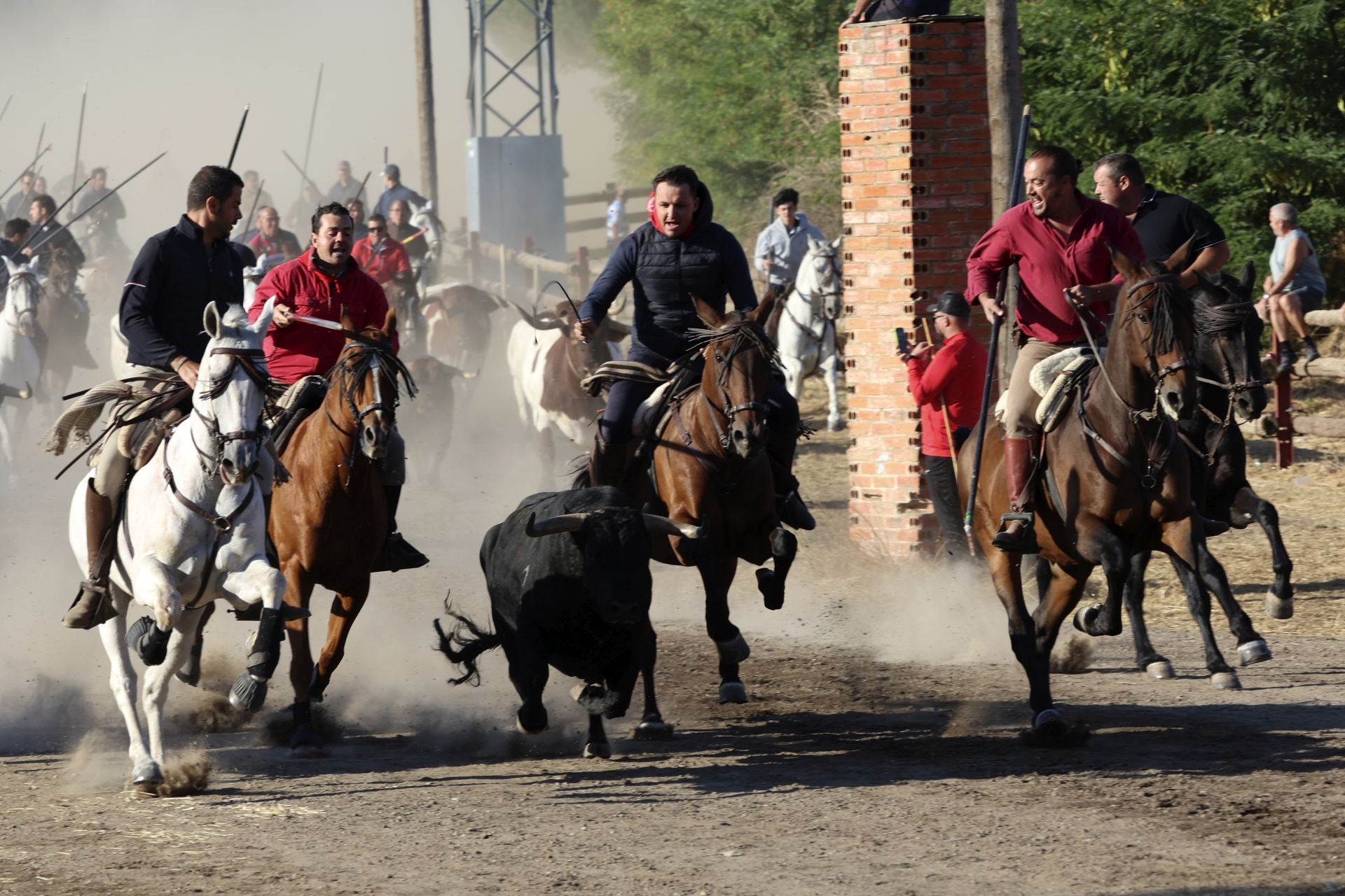 Encierro mixto del jueves en Tordesillas
