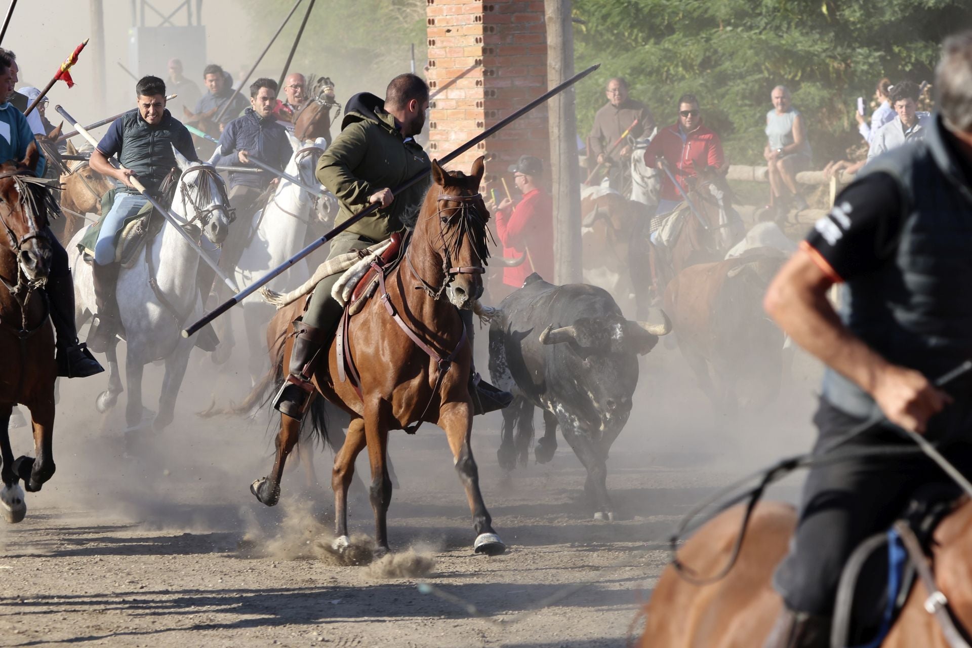 Encierro mixto del jueves en Tordesillas