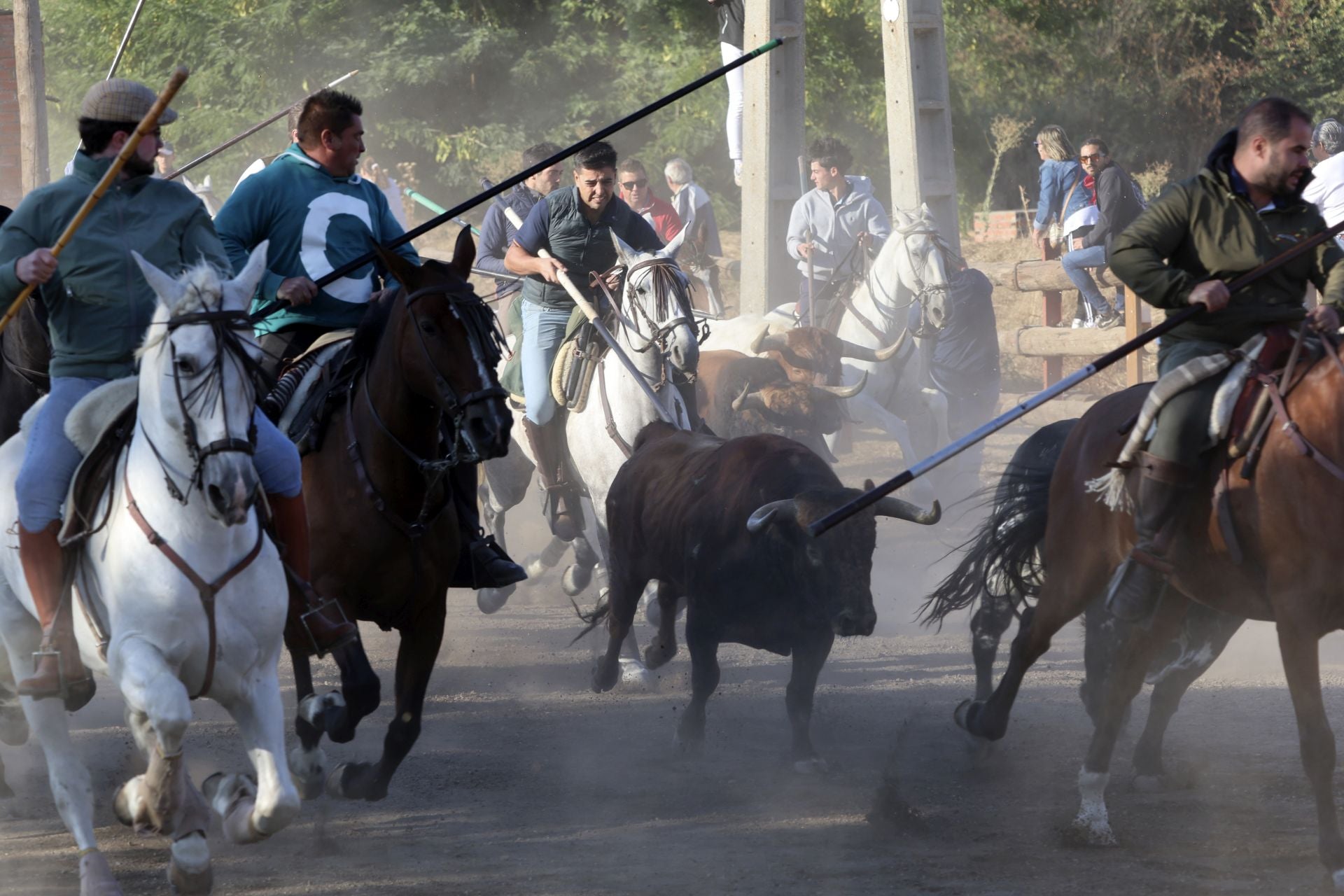 Encierro mixto del jueves en Tordesillas