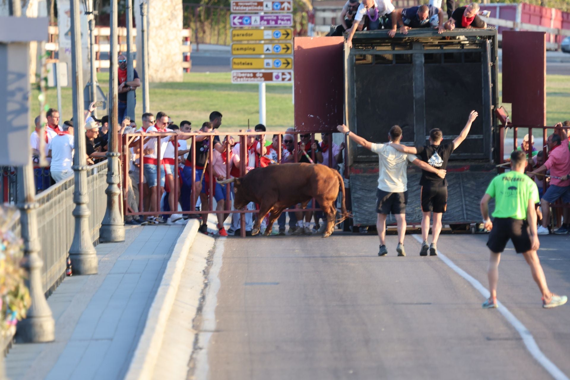 Las imágenes de los toros de cajón en Tordesillas