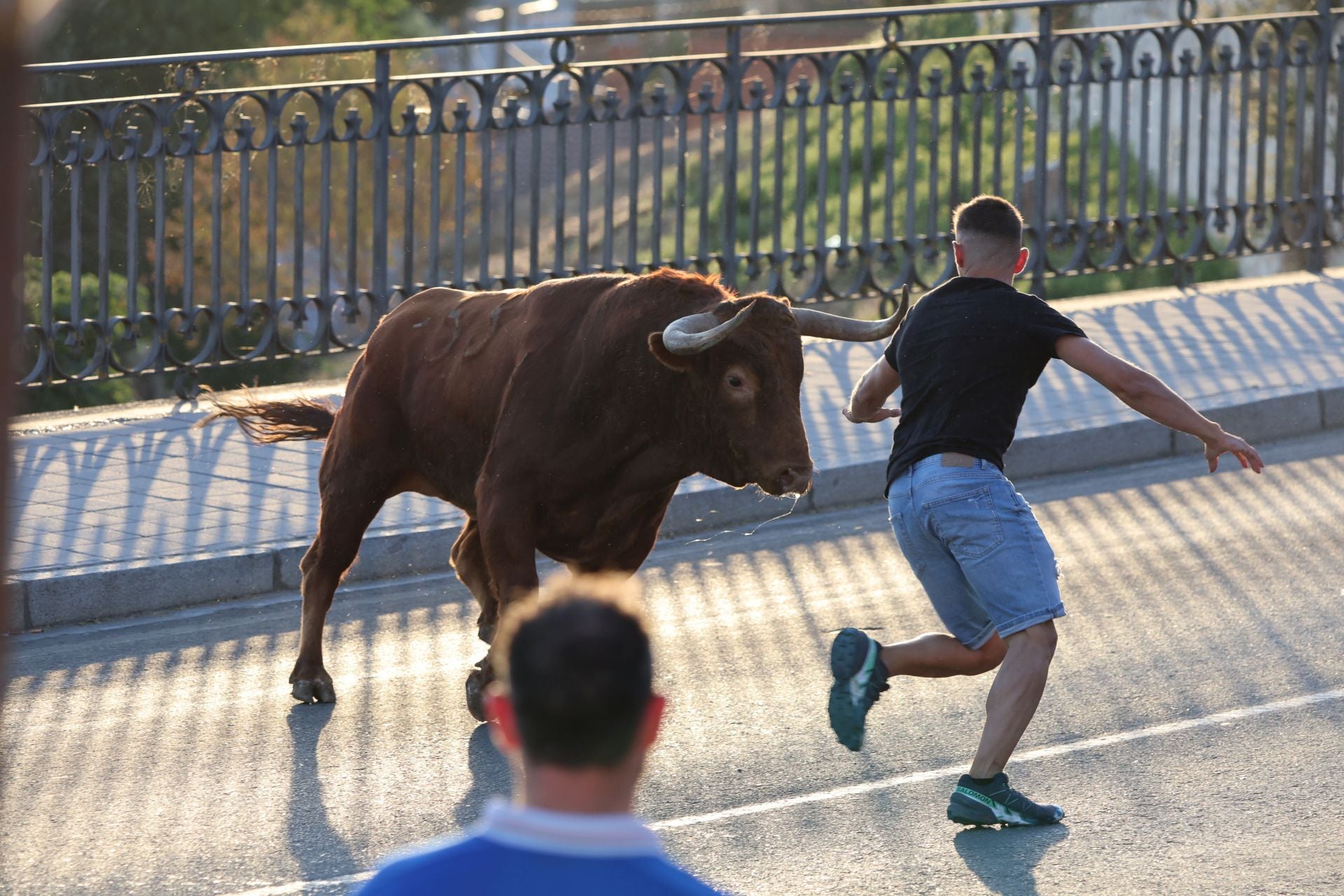 Las imágenes de los toros de cajón en Tordesillas