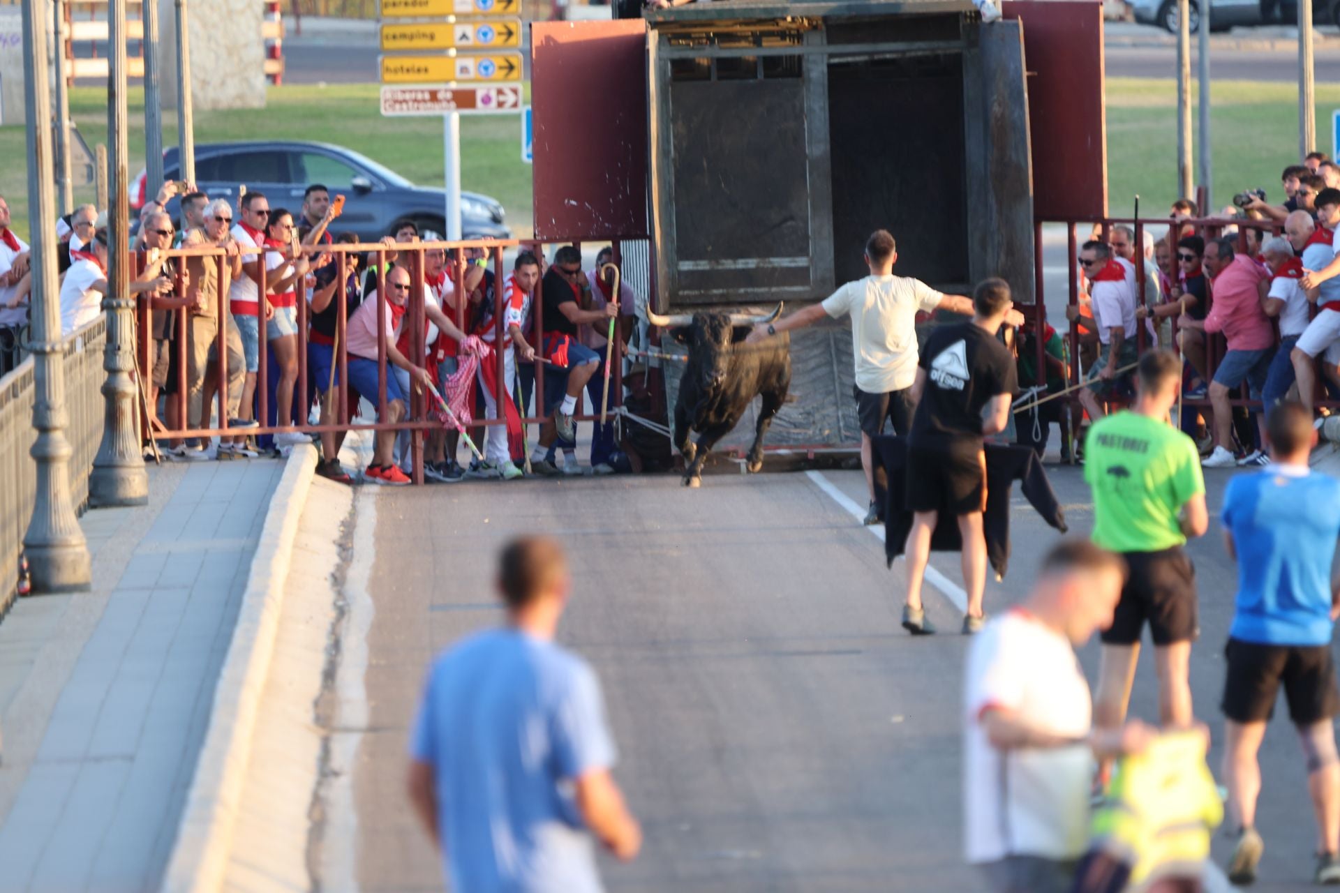 Las imágenes de los toros de cajón en Tordesillas