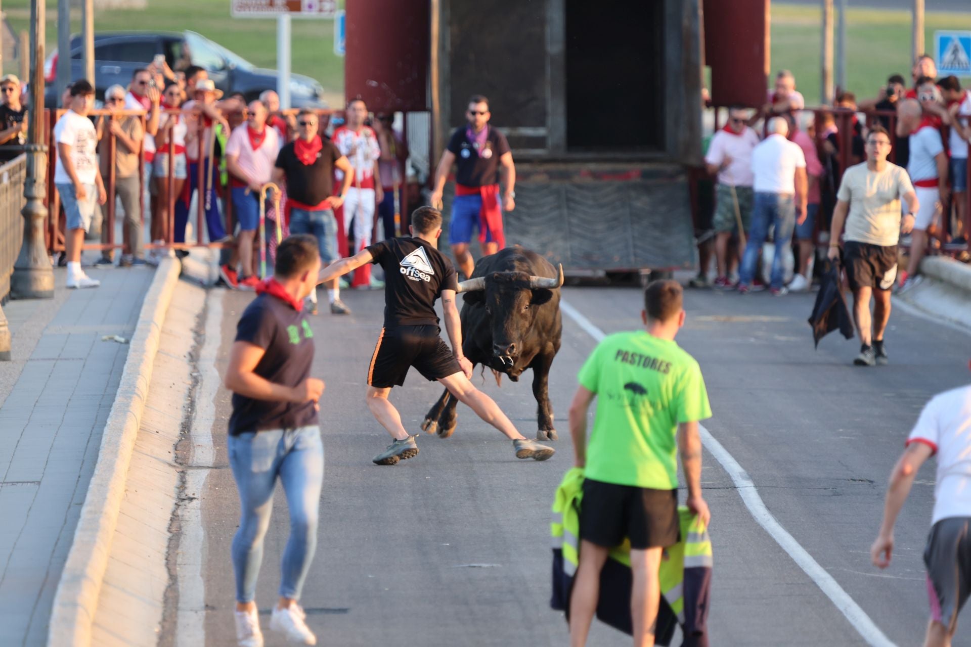 Las imágenes de los toros de cajón en Tordesillas