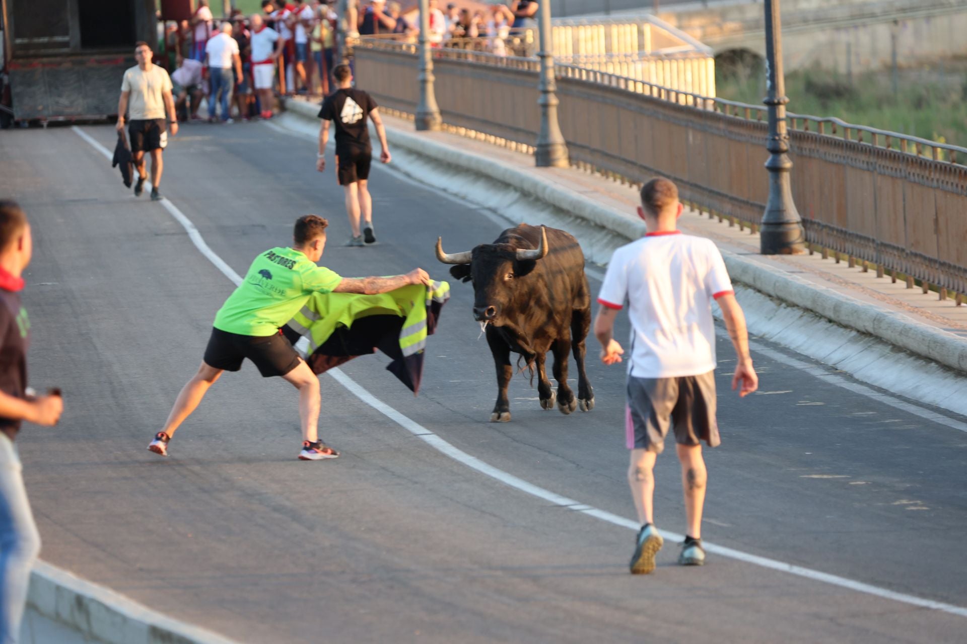 Las imágenes de los toros de cajón en Tordesillas