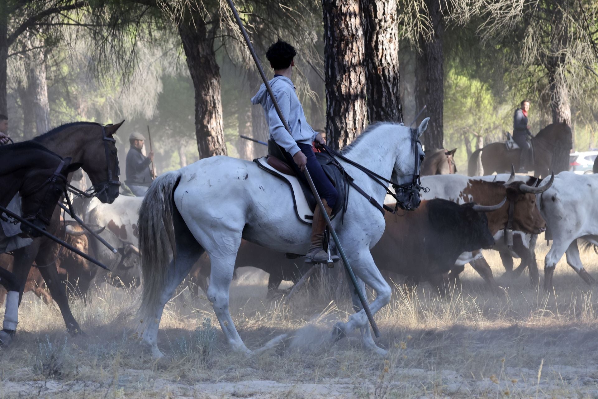 Encierro mixto del jueves en Tordesillas