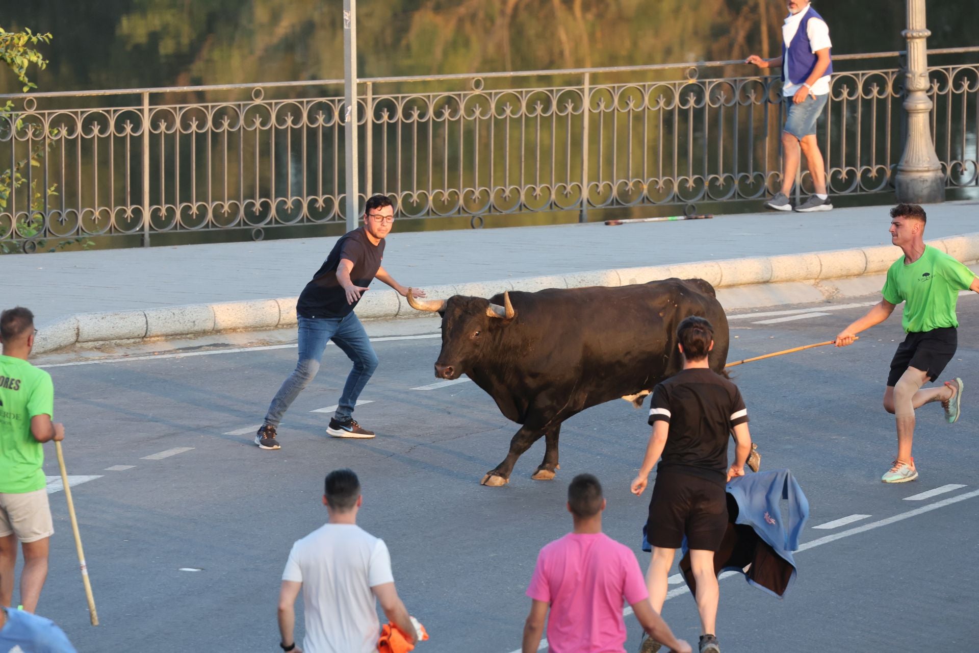 Las imágenes de los toros de cajón en Tordesillas