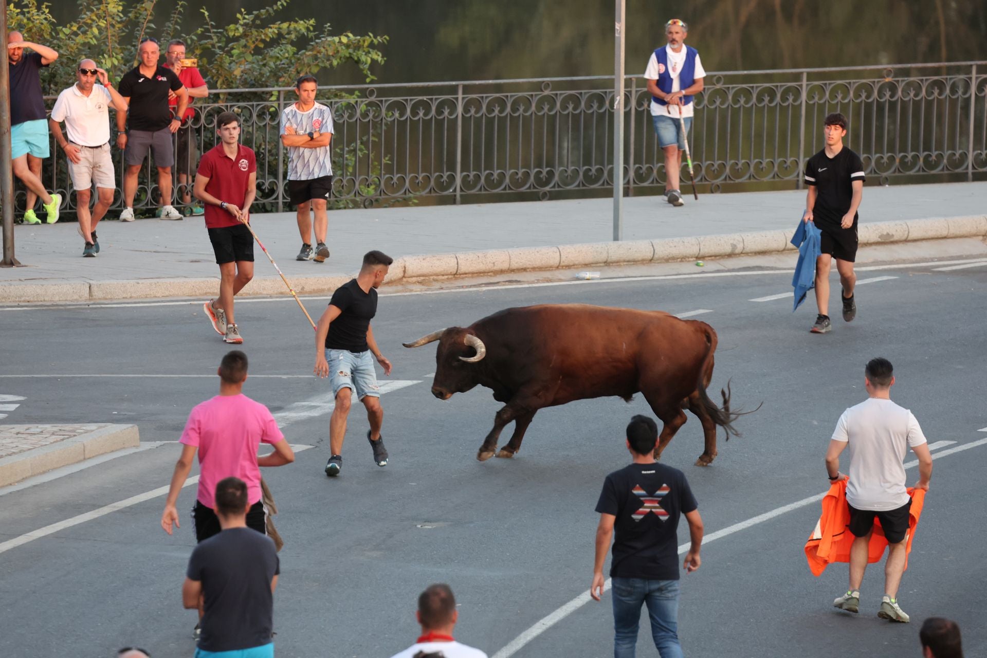 Las imágenes de los toros de cajón en Tordesillas
