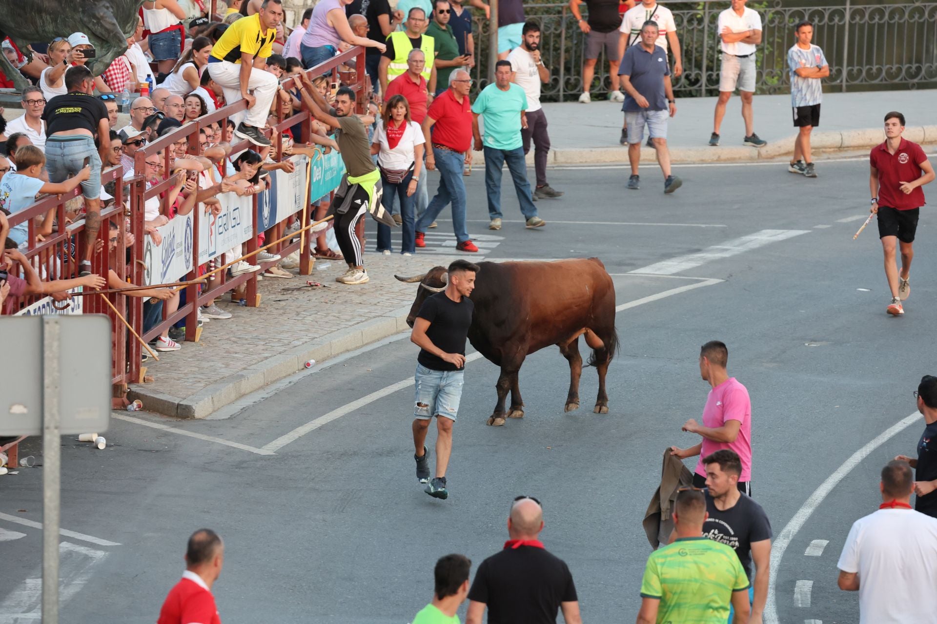Las imágenes de los toros de cajón en Tordesillas