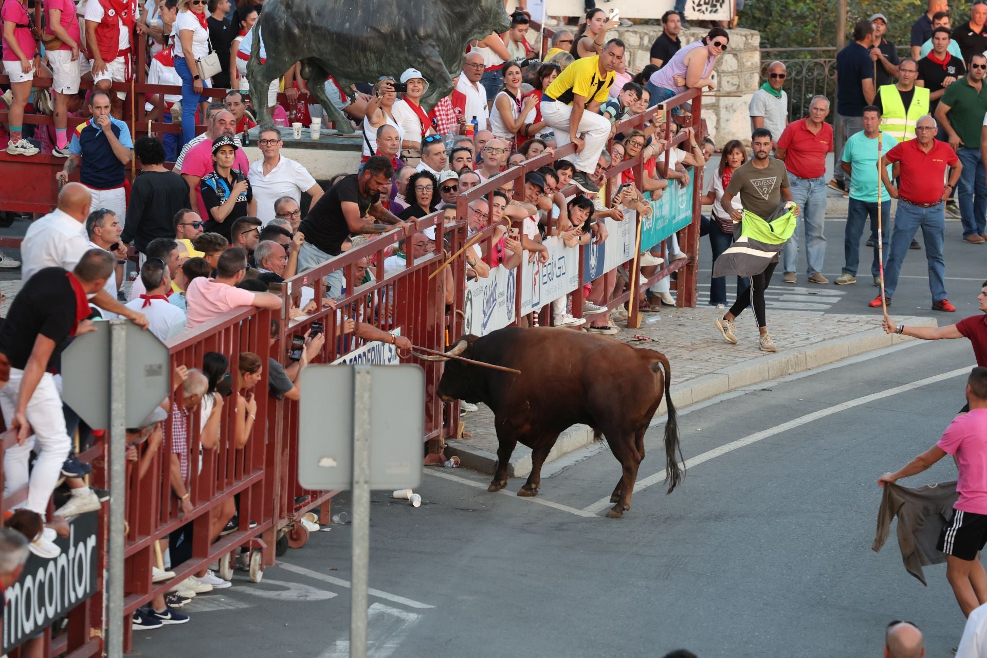 Las imágenes de los toros de cajón en Tordesillas
