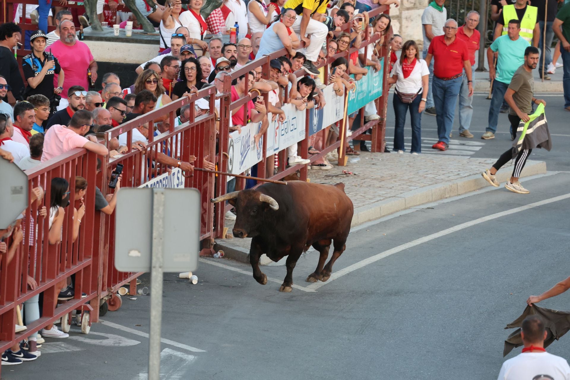 Las imágenes de los toros de cajón en Tordesillas