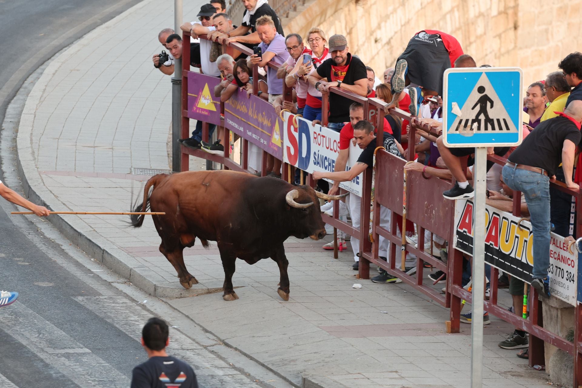 Las imágenes de los toros de cajón en Tordesillas