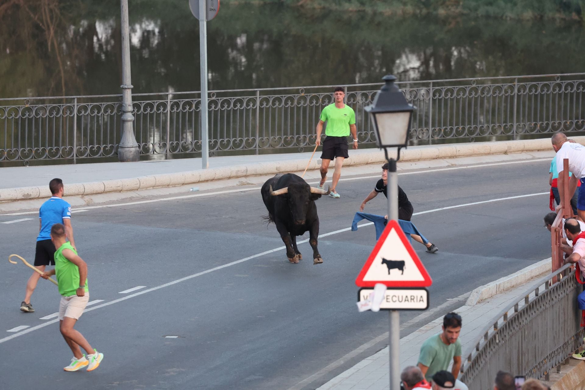 Las imágenes de los toros de cajón en Tordesillas