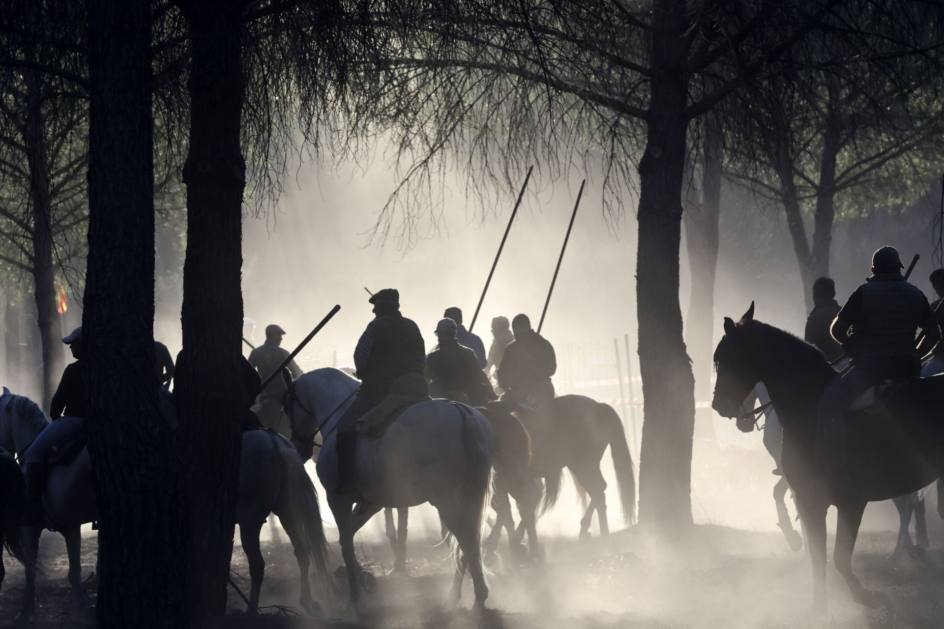 Encierro mixto del jueves en Tordesillas