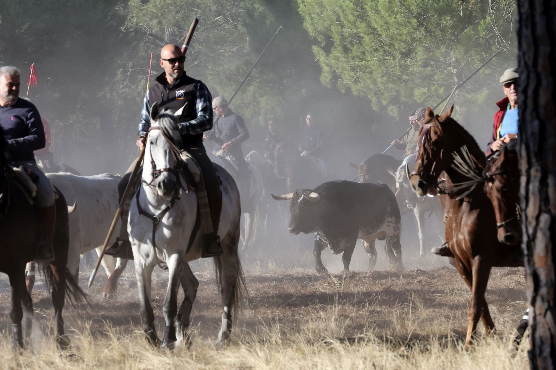 Encierro mixto del jueves en Tordesillas