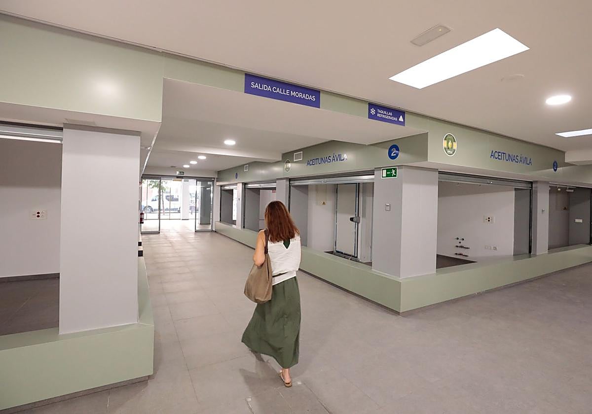 Instalaciones del remozado mercado de La Rondilla.