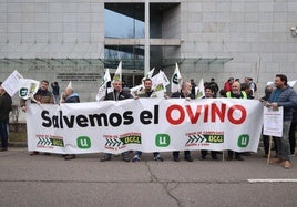 Movilización en defensa del sector ovino el pasado febrero.