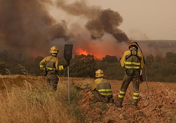 Tres brigadistas observan las llamas en un incendio forestal en Zamora el pasado mes de agosto.