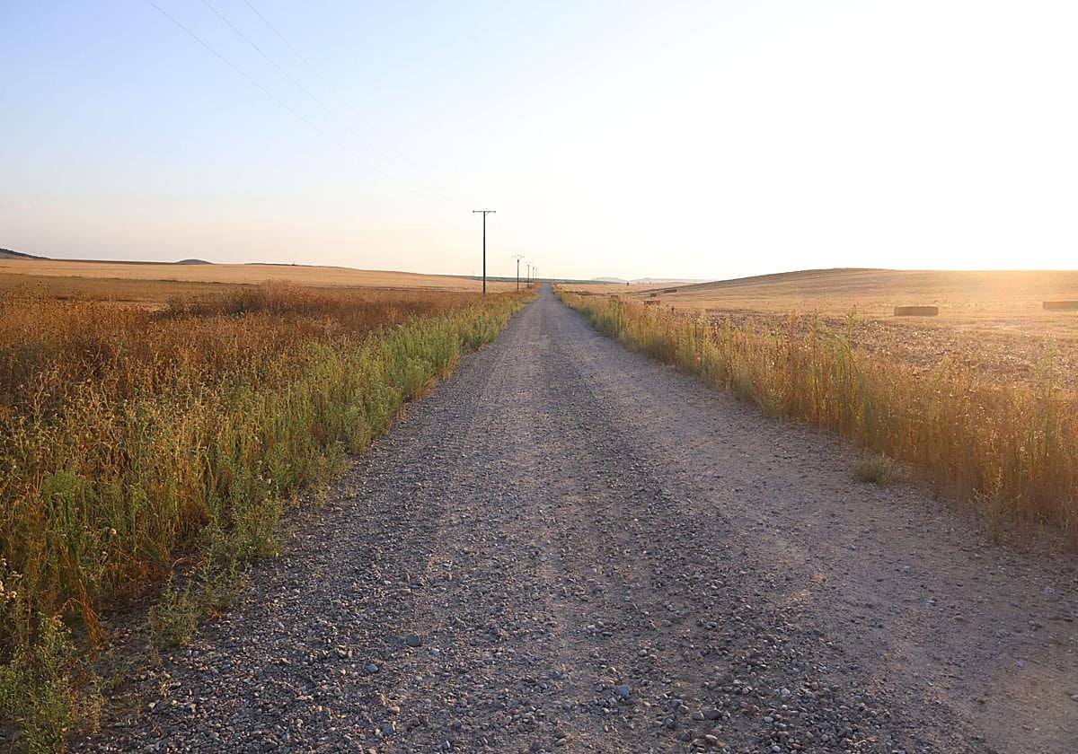 Camino que atraviesa las tierras en las que sucedió el trágico accidente laboral.