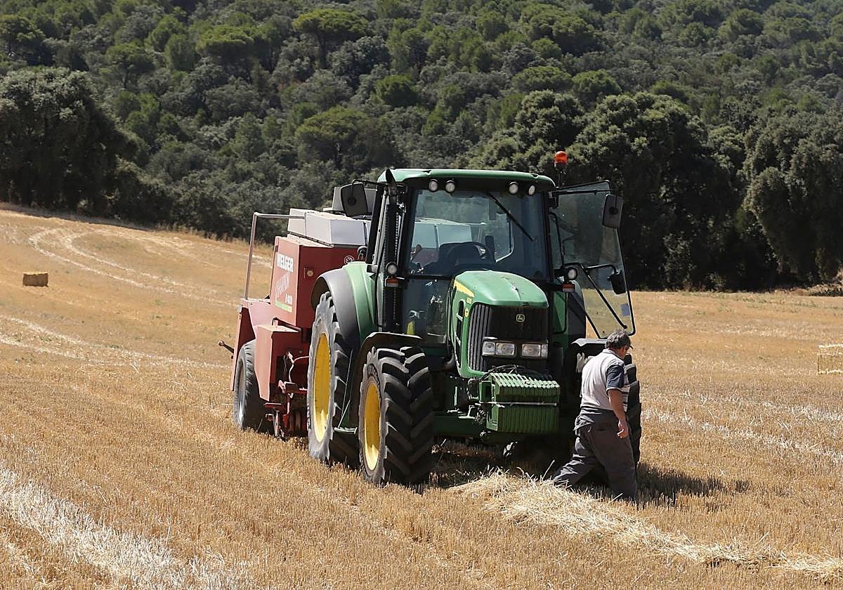 Un tractor transporta pacas de paja tras cosechar una tierra.