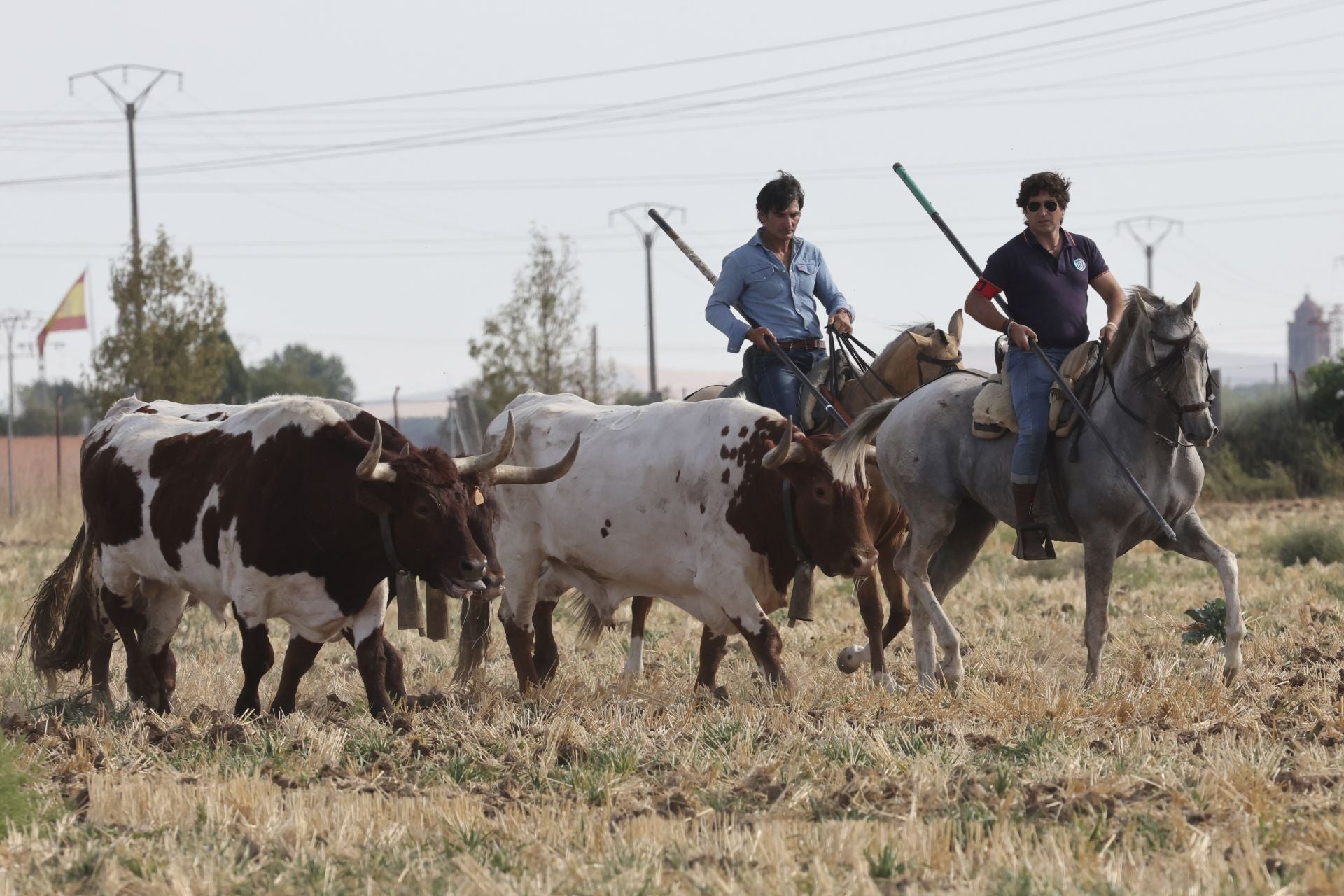 Las imágenes del encierro en Madrigal de las Altas Torres