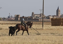 Las imágenes del encierro en Madrigal de las Altas Torres
