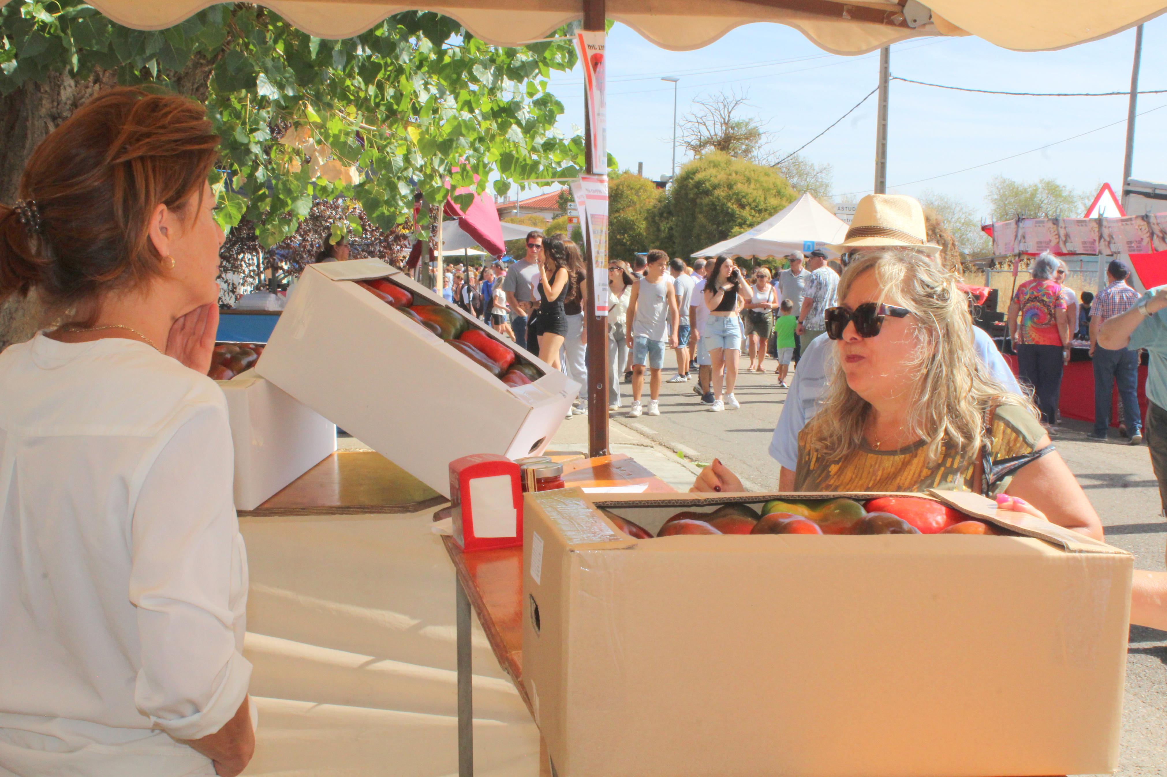 XXXI Feria del Pimiento de Torquemada