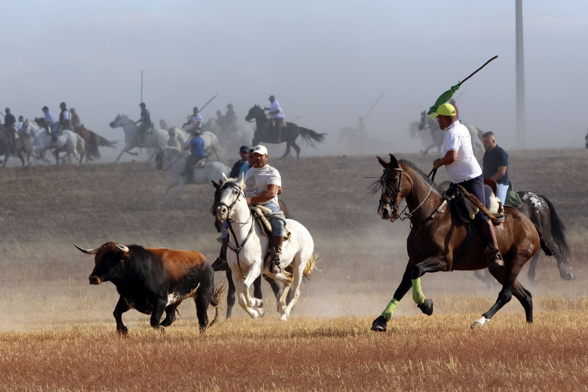 Las imágenes del encierro de Madrigal de las Altas Torres