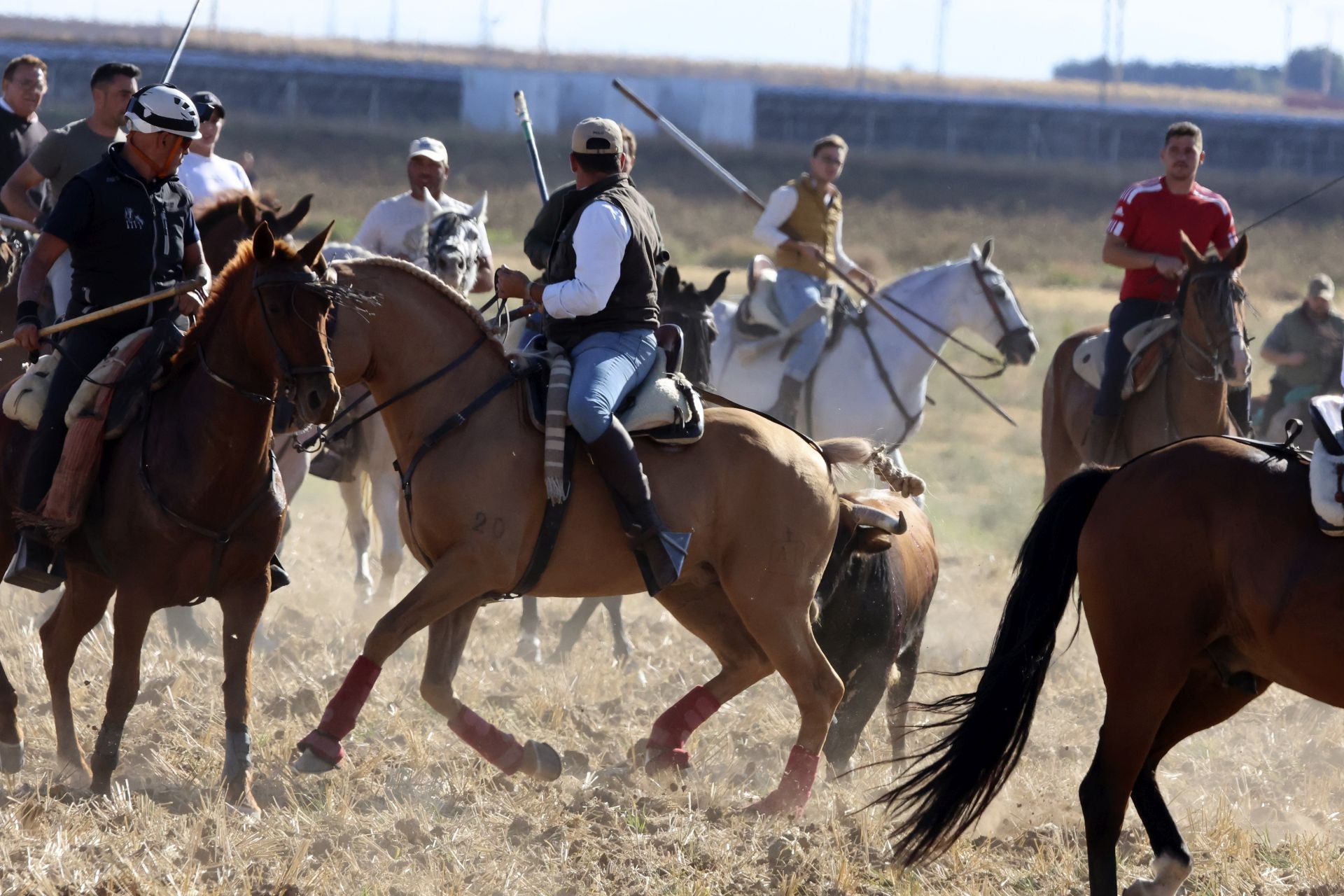 Las imágenes del encierro de Madrigal de las Altas Torres