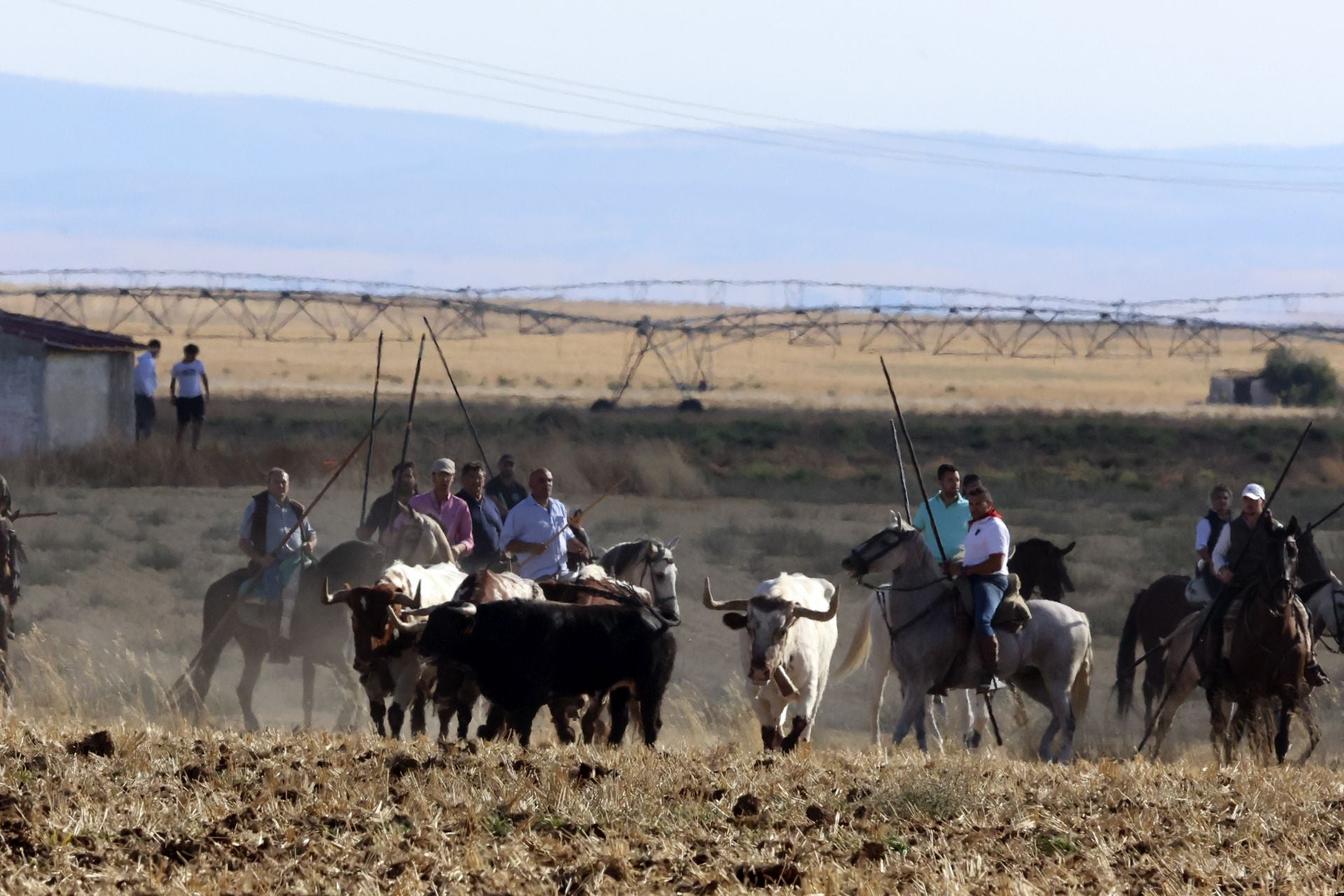 Las imágenes del encierro de Madrigal de las Altas Torres