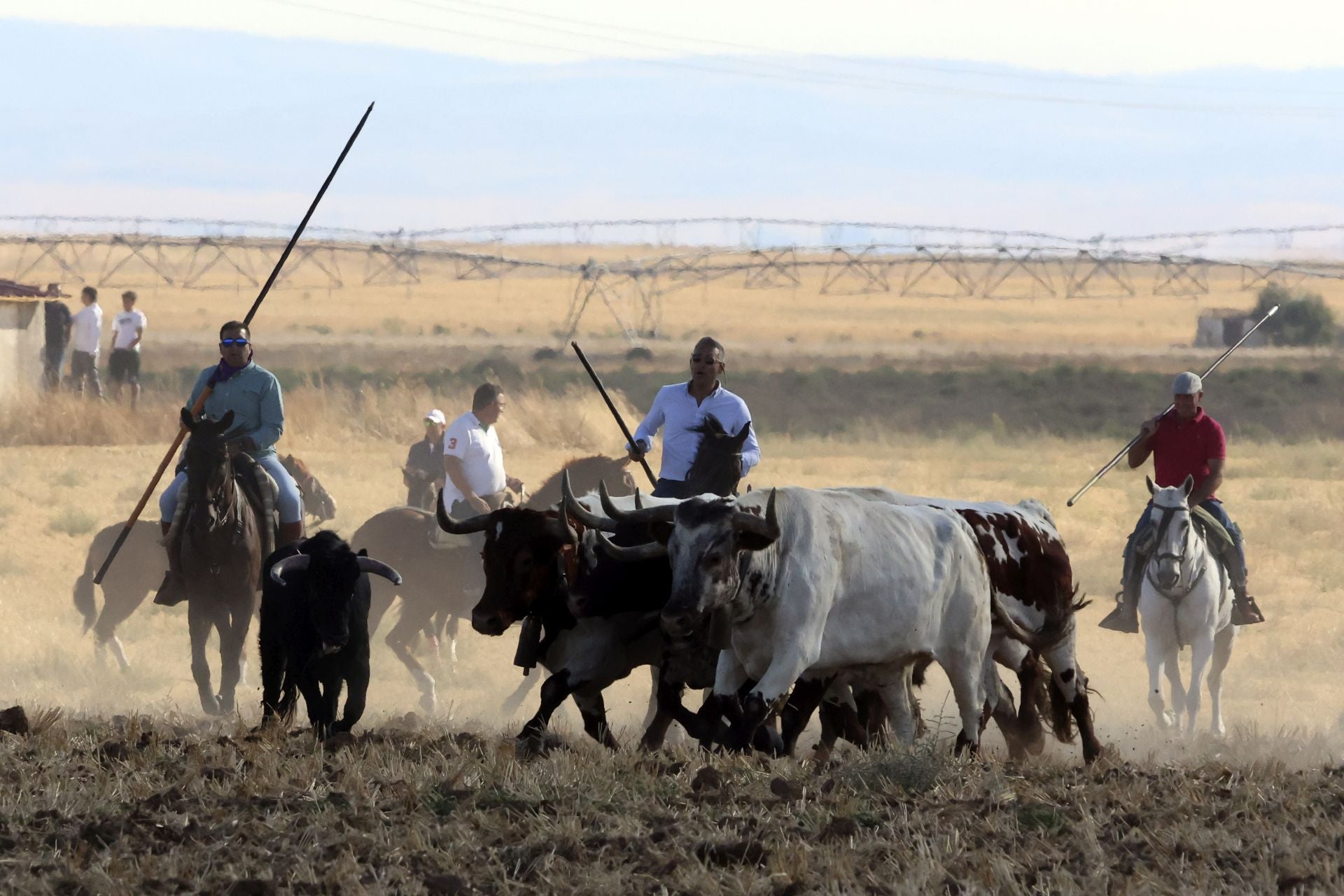 Las imágenes del encierro de Madrigal de las Altas Torres