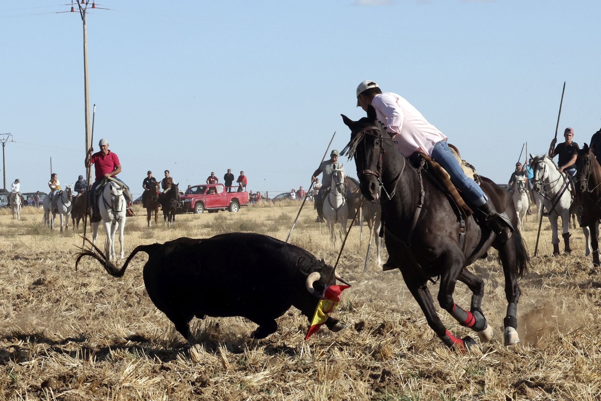 Las imágenes del encierro de Madrigal de las Altas Torres