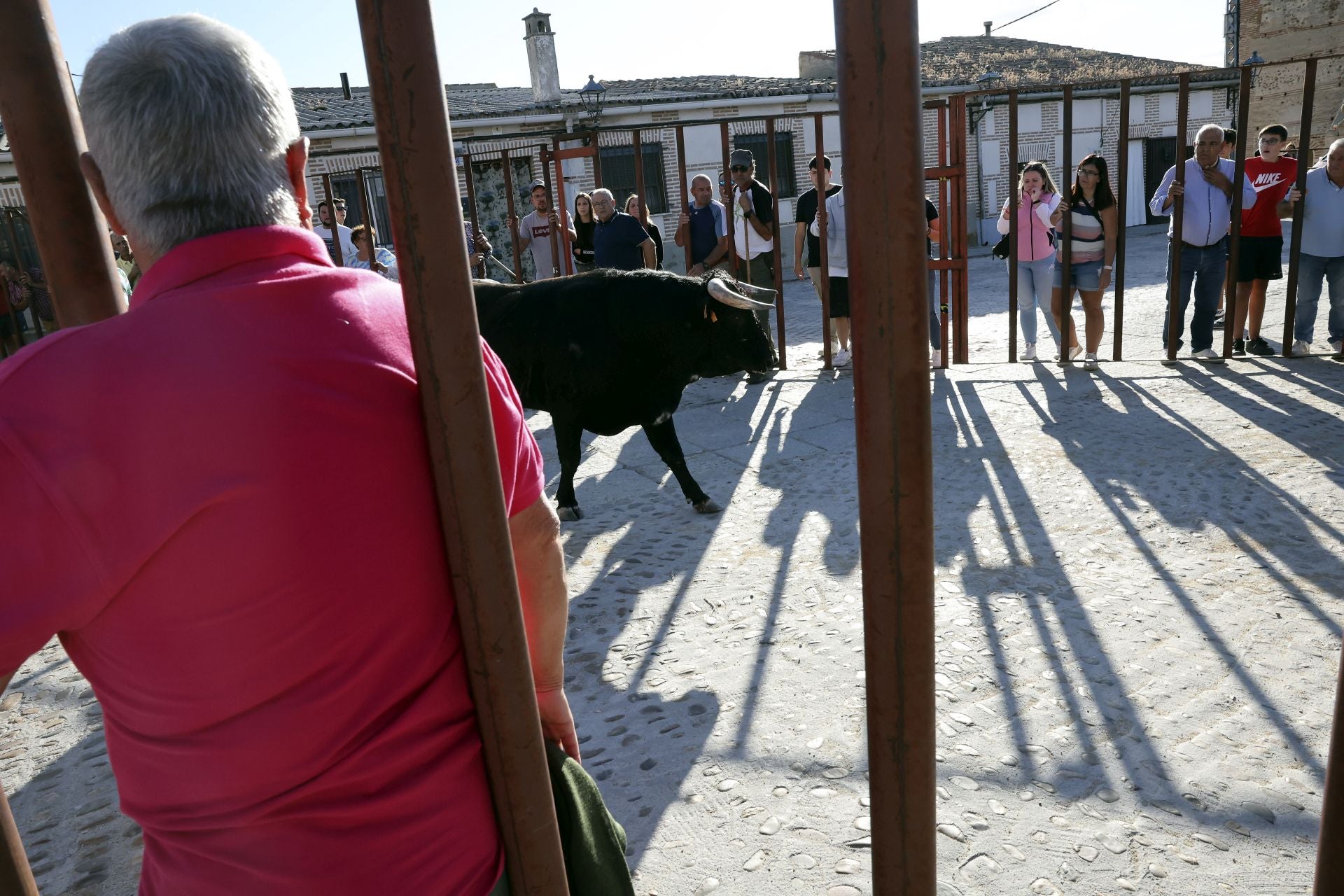 Las imágenes del encierro de Madrigal de las Altas Torres