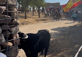 Un momento del espectáculo taurino celebrado en Madrigal de las Altas Torres en la tarde del domingo.