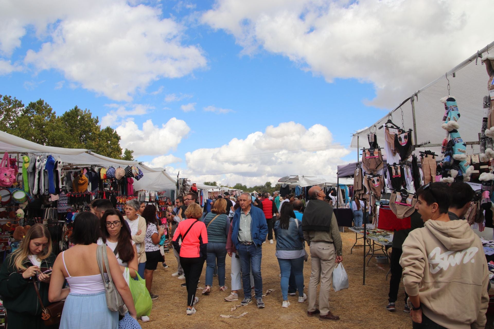 Fotos de la romería del Henar