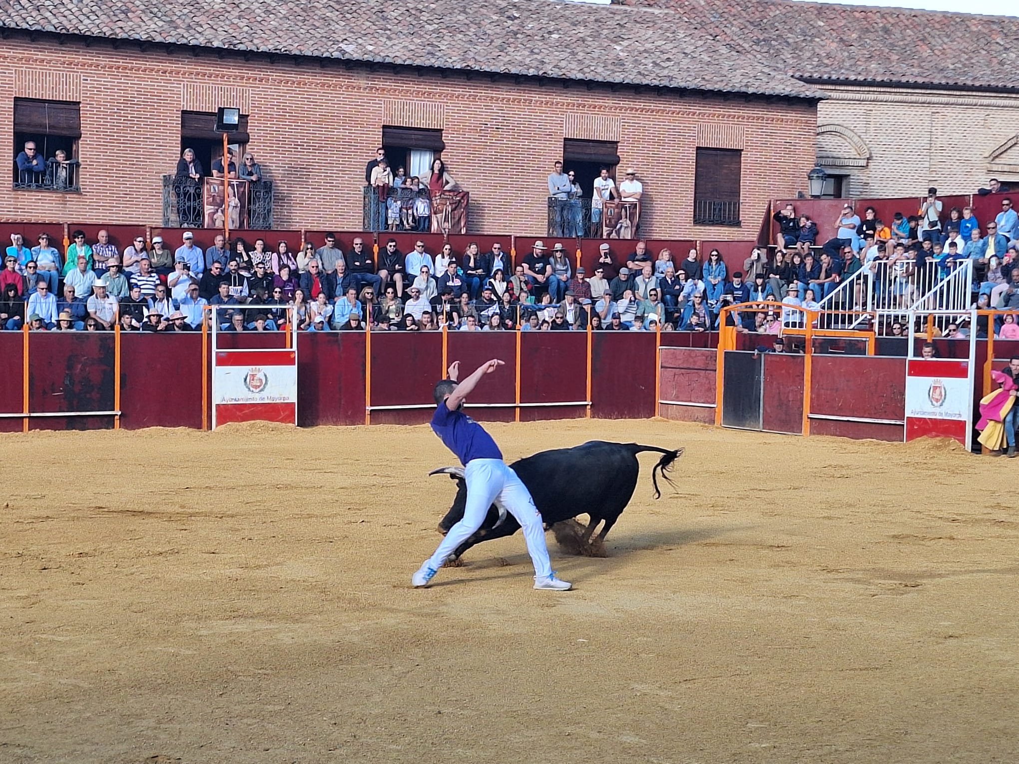 Los saltos de Christian Peñas ganan el concurso de cortes de Mayorga